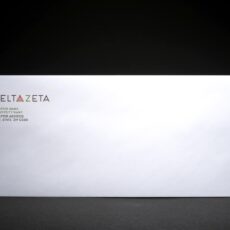 Official Business Envelopes Delta Zeta